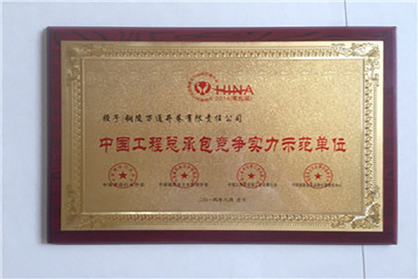 中國工程總承包競(jìng)爭實(shí)力示范單位